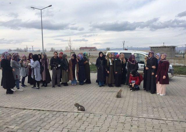 Mşü Öğrencilerinden Sokak Hayvanları Bakımevine Ziyaret