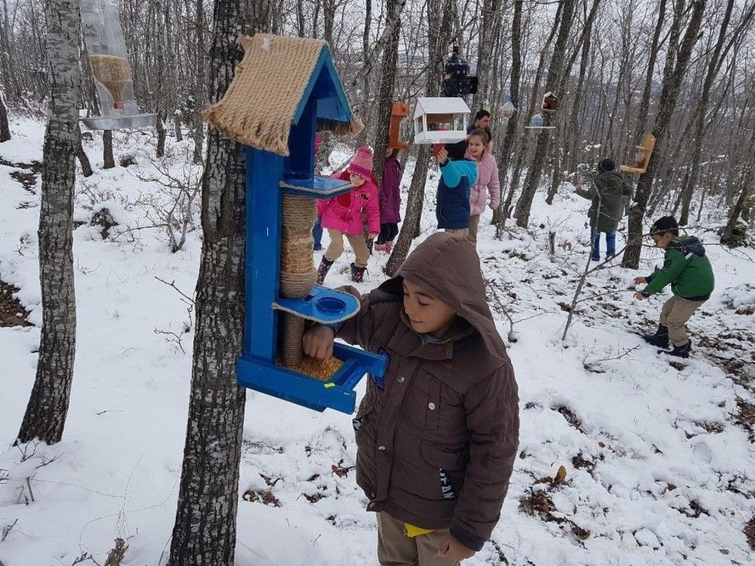 Atık Malzemeler Yaban Kuş Yemliğine D&ouml;n&uuml;şt&uuml;