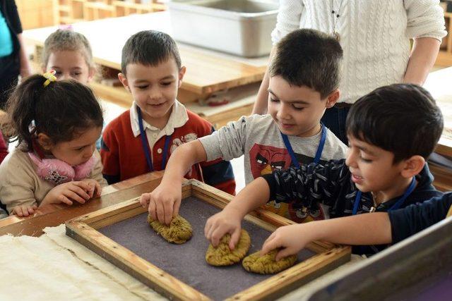 Sukurusu Minikleri Ağırlamaya Devam Ediyor