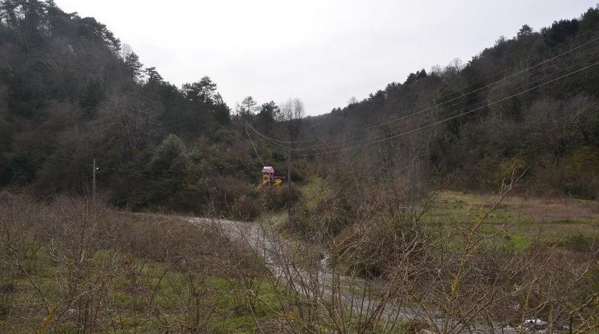 Ormanlık Alana Kurulan Oyun Parkı Tedirgin Ediyor