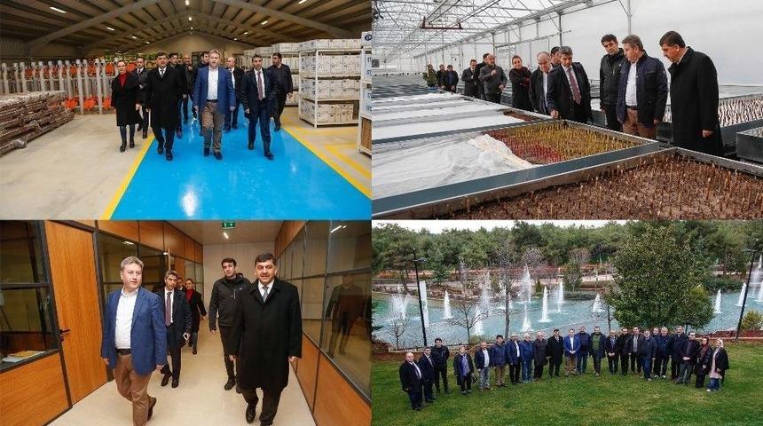 Gaziantep’in En Büyük Serasına Yoğun İlgi