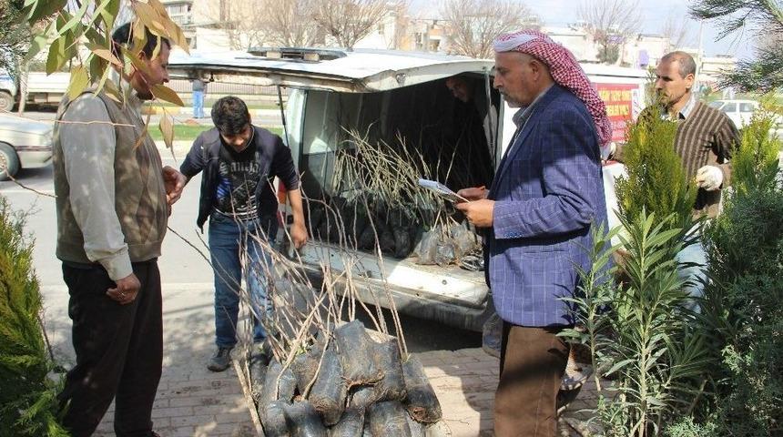Baharın Gelmesiyle Vatandaşlar Fidanlıklara Akın Etti
