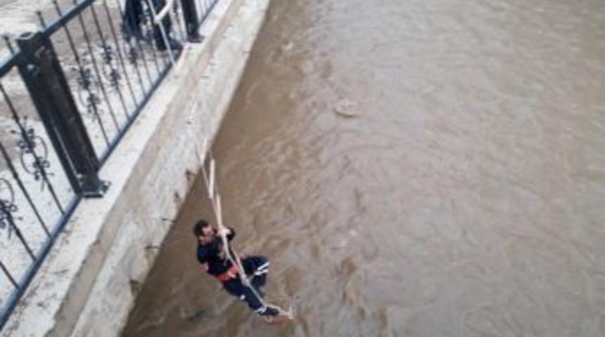 G&uuml;m&uuml;şhane&rsquo;de Dereye D&uuml;şen Kedi Kurtarıldı