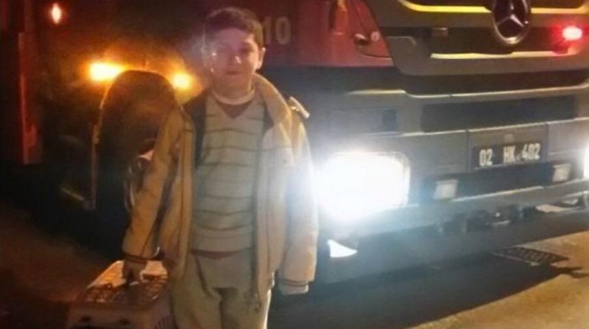 Ağaçta Mahsur Kalan Kedi Kurtarıldı