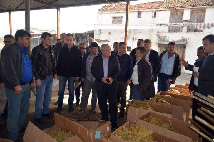 Genel Müdürden Tütün Firmalarına Uyarı G3