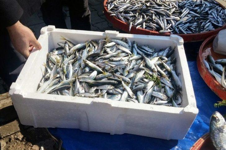 Tekirdağ’da Balık Boyu Kontroleri G2