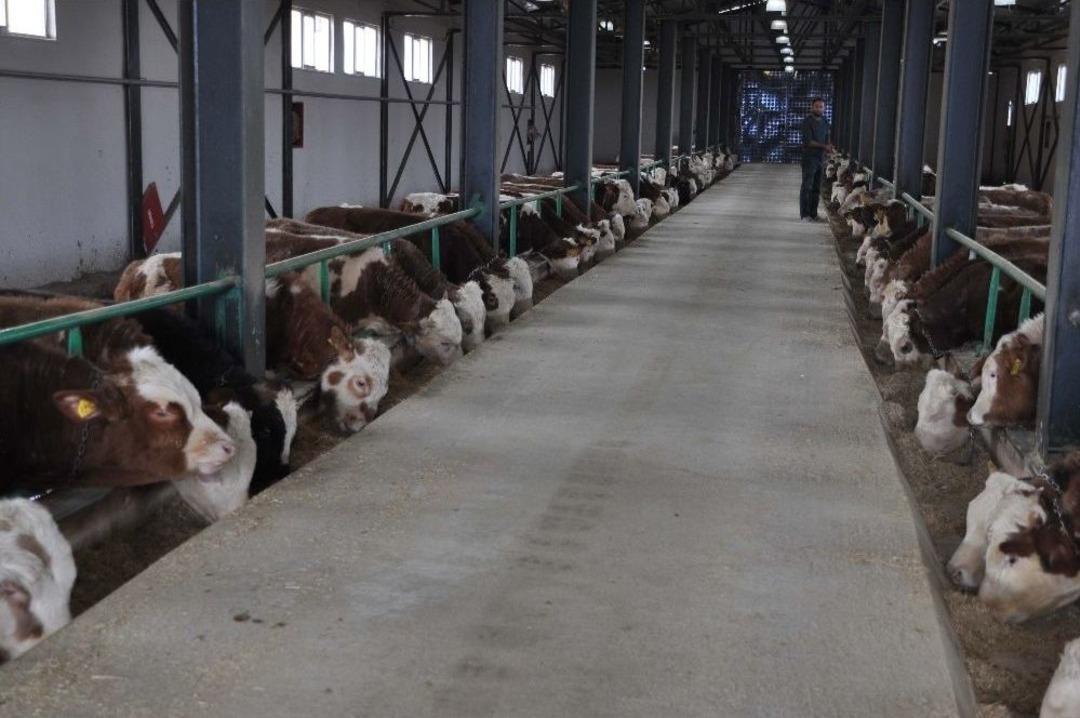 Devlet Desteğiyle 3 Milyonluk Tesis Kurdu