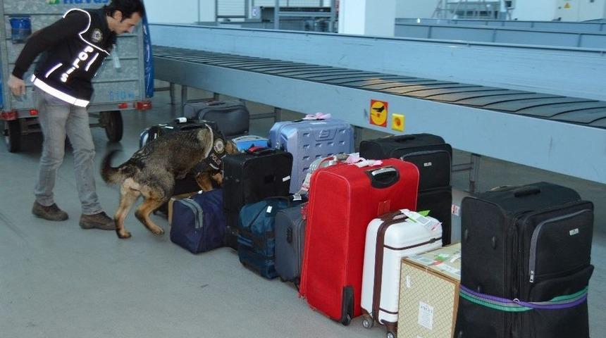 Ordu-giresun Havalimanında Bagajlar Cesi&rsquo;den Soruluyor