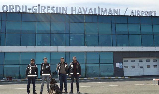 Ordu-giresun Havalimanında Bagajlar Cesi’den Soruluyor