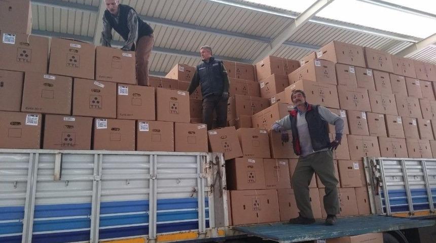 Hisarcık&rsquo;ta T&uuml;t&uuml;n Alımlarına Başlandı