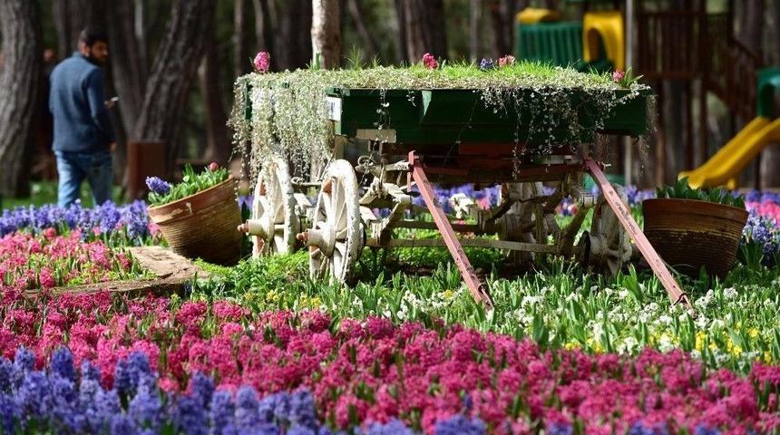 Antalya’da Bahar Havası