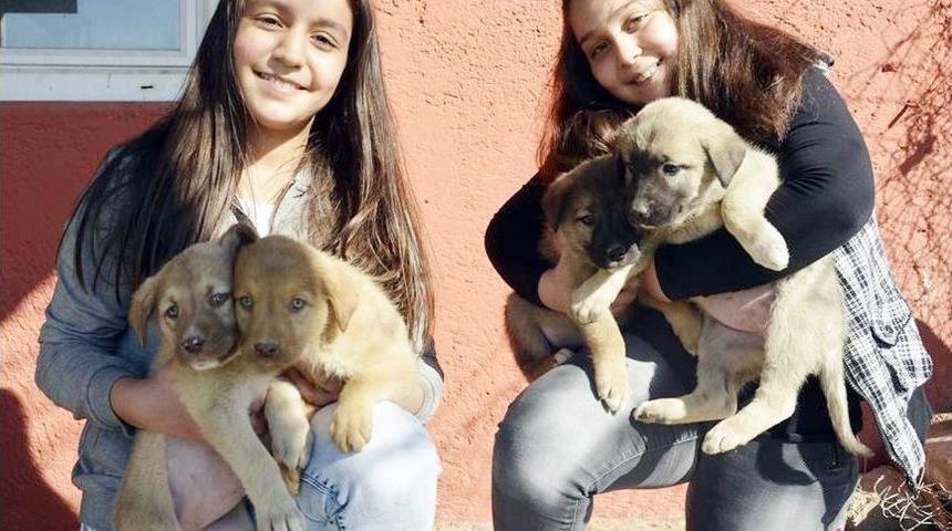 Soğukta Bitkin Halde G&ouml;r&uuml;p G&ouml;rmezden Gelmediler