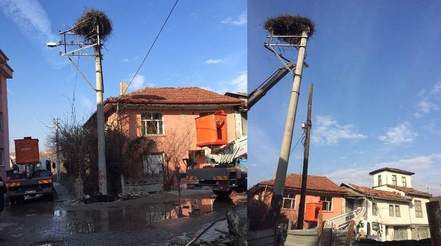 Elektrik Direğini Leylek Yuvasıyla Birlikte Taşıdılar
