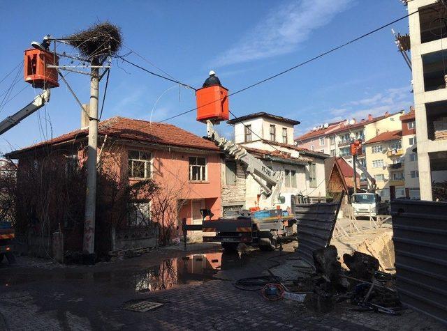 Elektrik Direğini Leylek Yuvasıyla Birlikte Taşıdılar