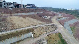 Koü’ye 20 Bin Fidan Dikilecek