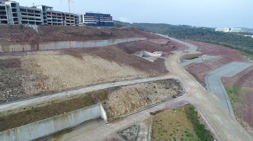 Koü’ye 20 Bin Fidan Dikilecek