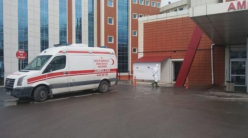 Kargodan Gelen Koli Zehirledi