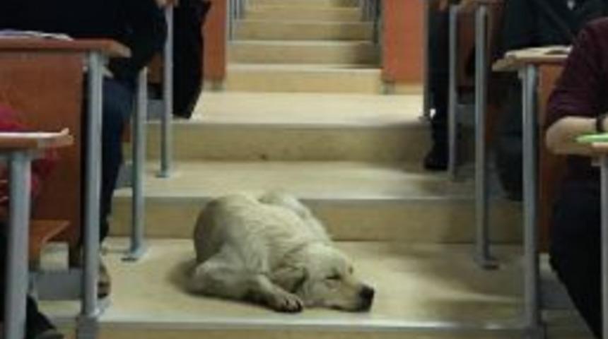 &Ouml;ğrencilerden &Ouml;rnek Davranış