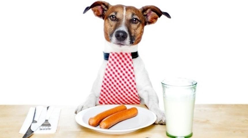 Çok Sağlıklı Dana Eti Ve Sebzelerle Hazırlanmış Ev Yapımı Köpek Maması