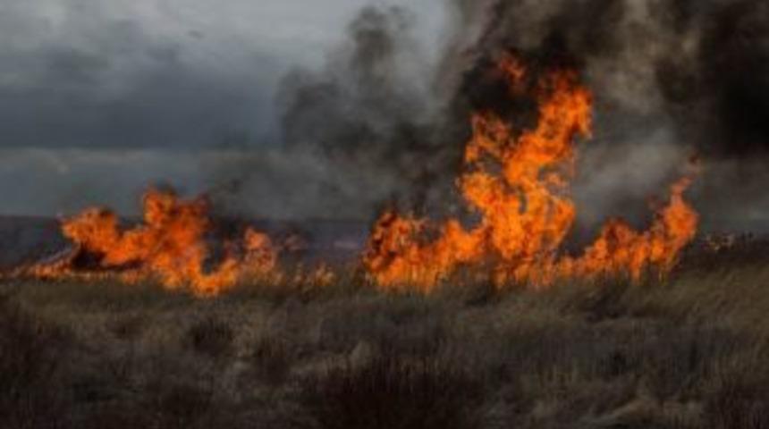 Beyşehir&rsquo;de Sazlık Yangını