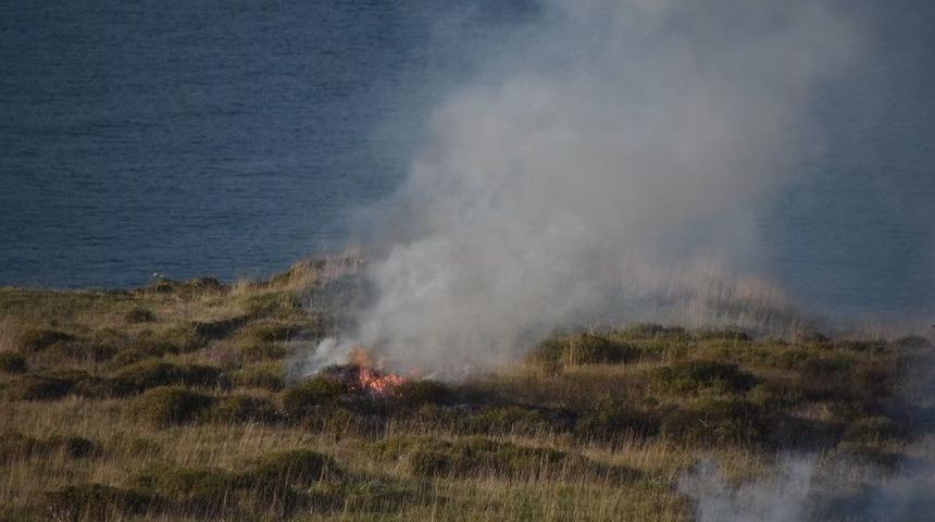 Sinop&rsquo;ta Ot Yangını