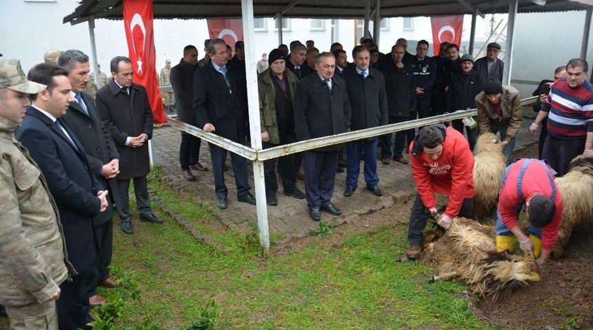Kabad&uuml;z&rsquo;de Mehmet&ccedil;ikler İ&ccedil;in Kurban Kesildi