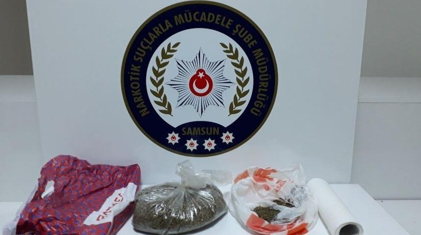 Samsun’da Bonzai Ticareti Yapan 1 Şahıs Tutuklandı