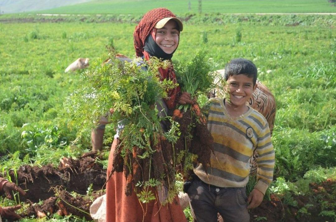 Operasyonun G&ouml;lgesinde Hasat