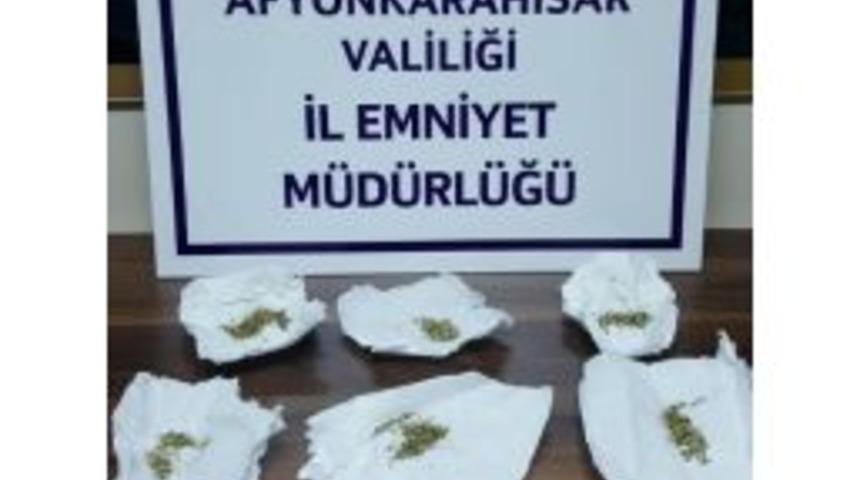 Evinde Bonzai Bulunan Şüpheli Gözaltına Alındı