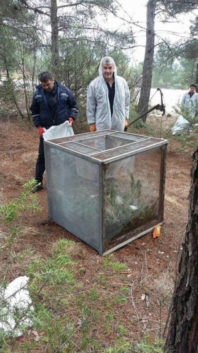 Kargı’da Çam Kese Böceği İle Mücadele Başlattıldı