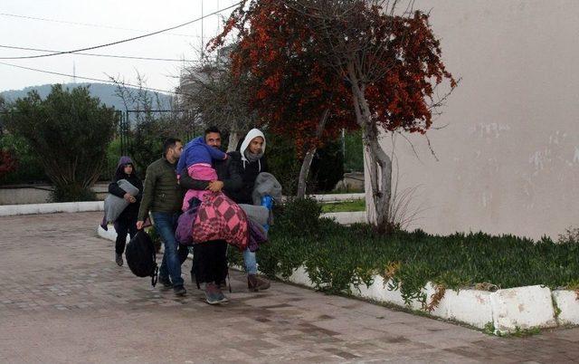 Ayvalık’ta 43 Kaçak Göçmen Yakalandı