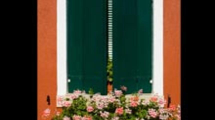Pencere Saksınızı Boyayın