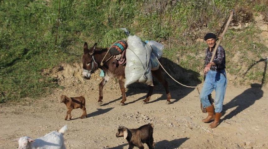 Aydın Kışı Yaşamadan Baharı G&ouml;rd&uuml;