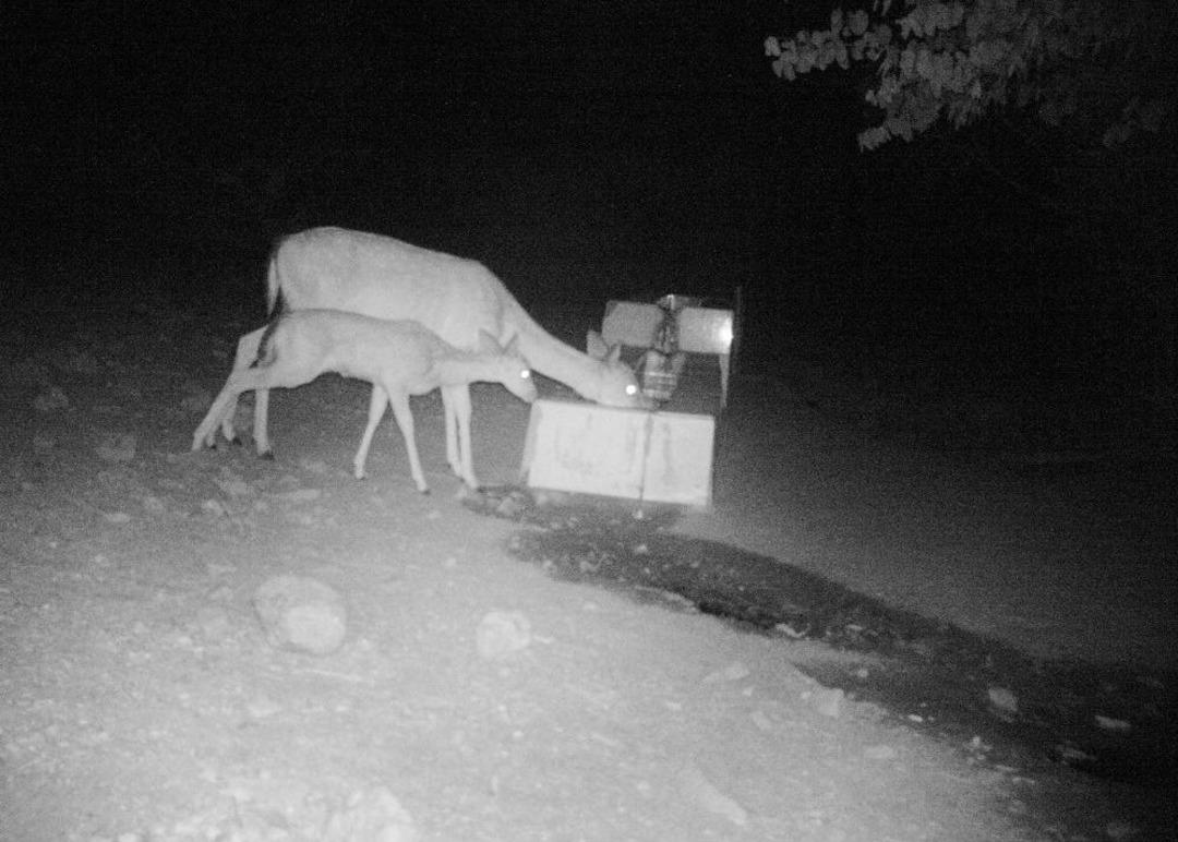 M.&ouml; 6. Y&uuml;zyıldan G&uuml;n&uuml;m&uuml;ze Milli Park&rsquo;talar