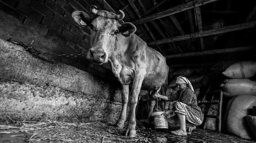&lsquo;kadının G&ouml;z&uuml;nden Kadına Dair&rsquo; Fotoğraf Yarışması Sonu&ccedil;landı