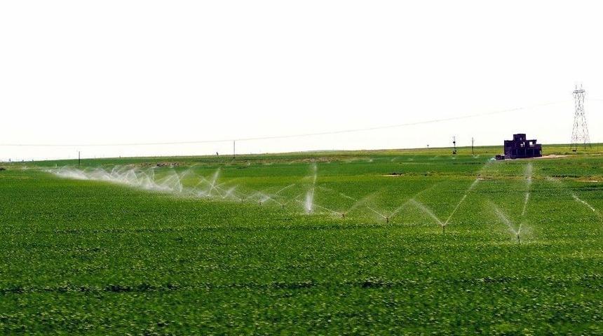 Dicle Elektrik&rsquo;ten Bor&ccedil;lu &Ccedil;ift&ccedil;ilere Blokaj Uyarısı