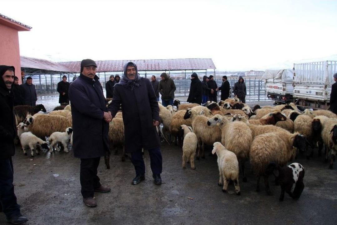 Muradiye&rsquo;nin İlk Mezbahası Ve Hayvan Pazarı Hizmete Girdi