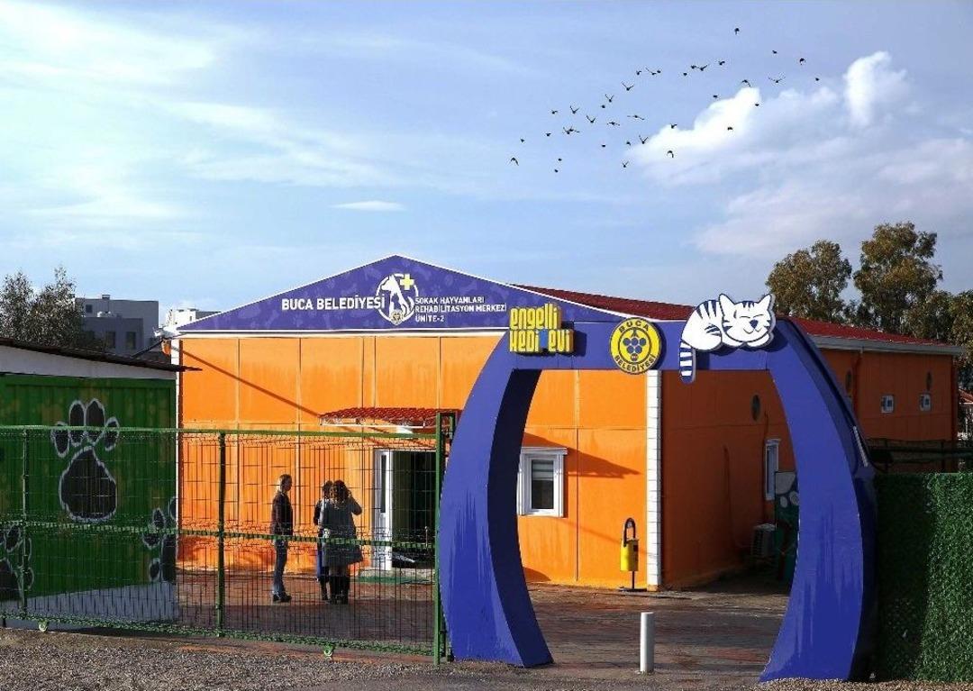 Buca&rsquo;da Sokak Hayvanlarına Beş Yıldızlı Tesis