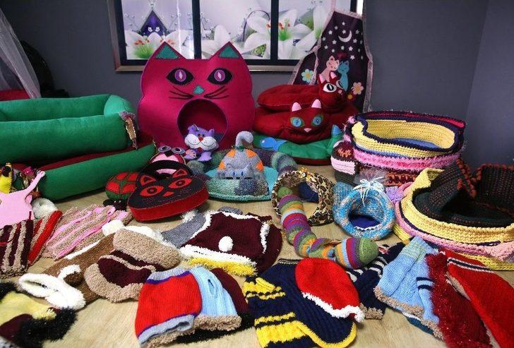 Buca’da Sokak Hayvanlarına Beş Yıldızlı Tesis G3