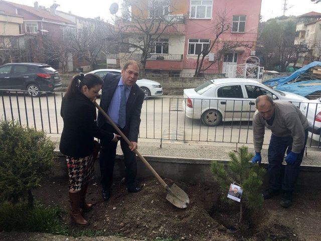 Afrin Şehitleri Anısına Fidan Diktiler