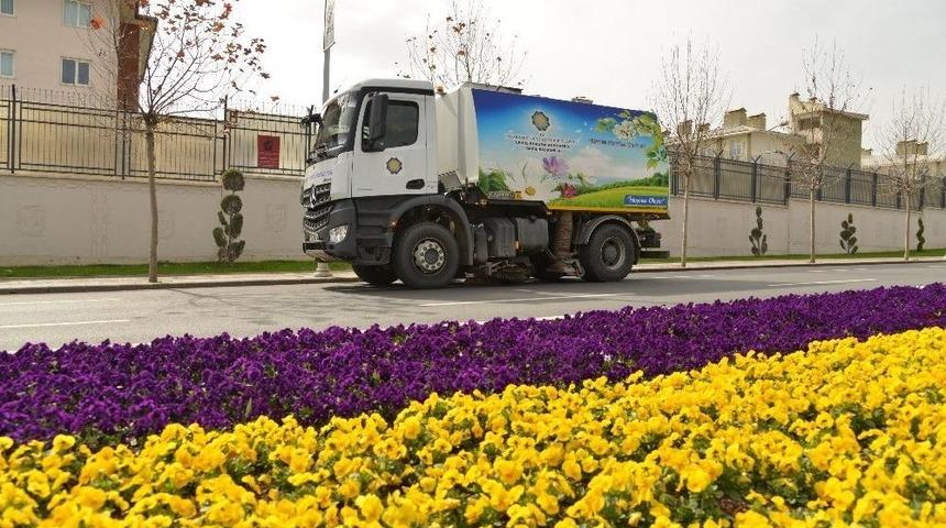 Ana Arterler G&uuml;l Ve Karanfil Kokacak