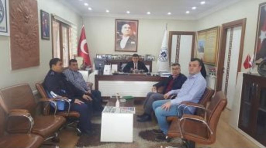 K&uuml;&ccedil;&uuml;k Elmalı Tabiat Parkı&rsquo;na 1 Bu&ccedil;uk Milyon &Ouml;denek &Ccedil;ıktı