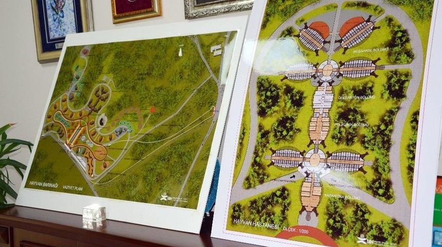 Tema Park Sokak Hayvanları Ve &Ccedil;ocukları Buluşturacak