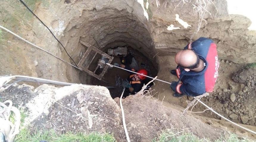 Kuyuya D&uuml;şen İnek Ve Yavru K&ouml;pekleri İtfaiye Kurtardı