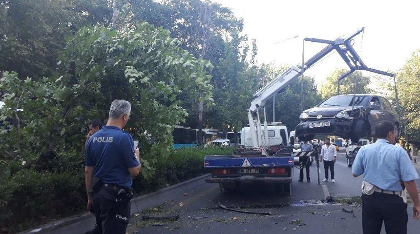 Kontrolden Çıkan Araç Refüjdeki Ağacı Devirdi