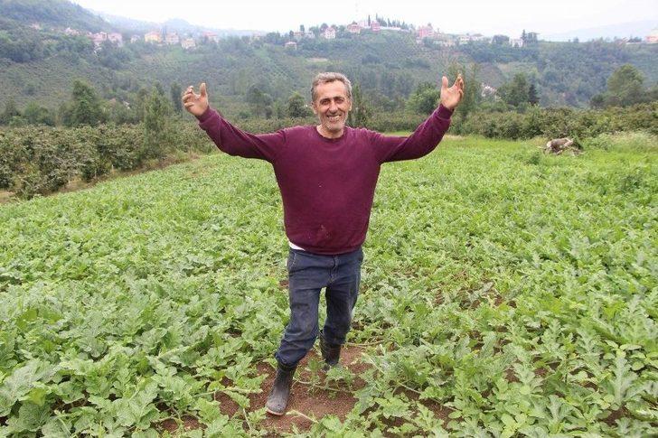 Hep Zarar Etti Yılmadı, Sonunda Koltuk Yıkama İşinde Başarılı Oldu G3