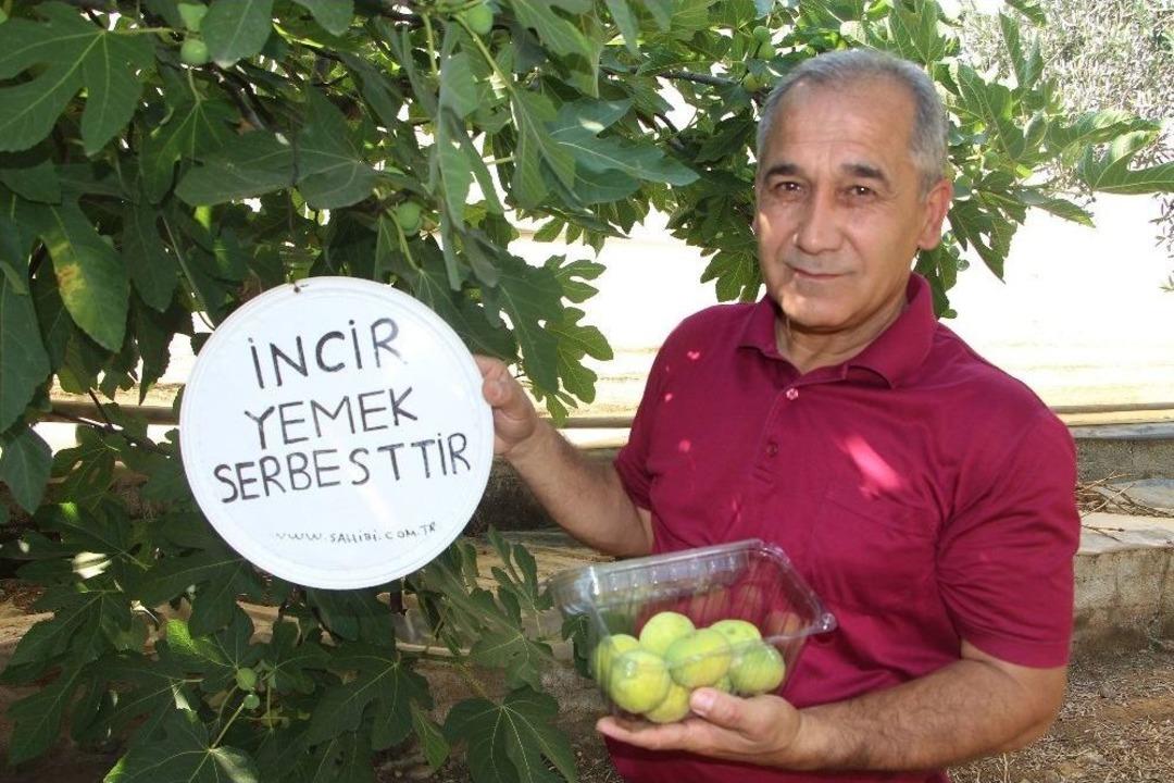 (&ouml;zel) İncirlerinden Kimse Yemeyince Bah&ccedil;esine Tabela Astı