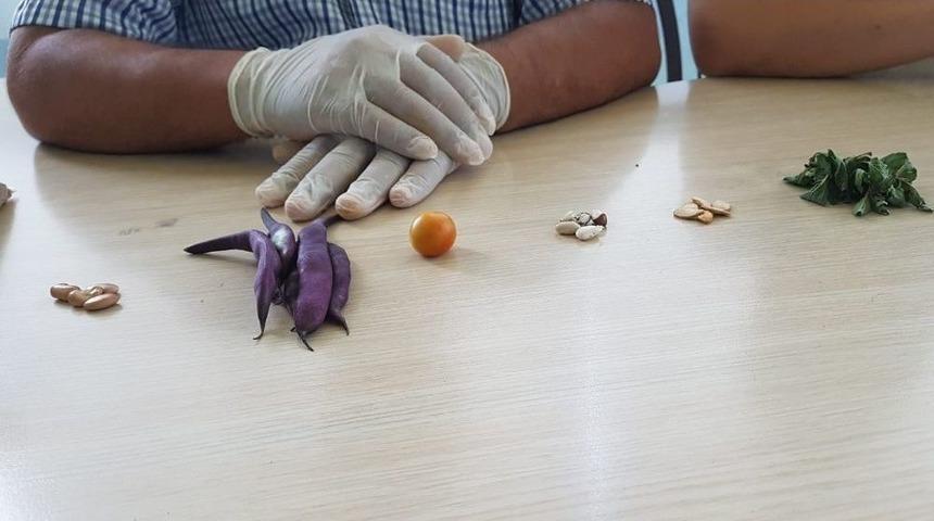 Doğru Beslenmeyle İnsan &Ouml;mr&uuml;n&uuml;n 175 Yıla Uzayabileceği İddiası