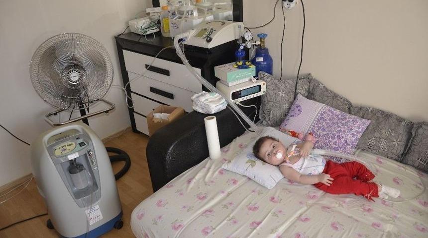 11 Ayılık Minik Elif Kalbindeki 11 Milimetrelik Delikle Yaşamaya Çalışıyor