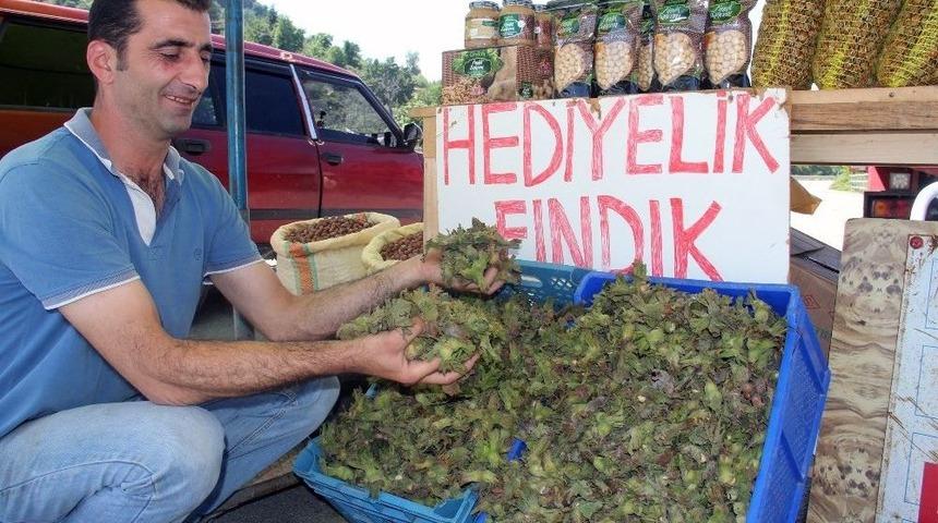 Yaş Fındık Pazara İndi